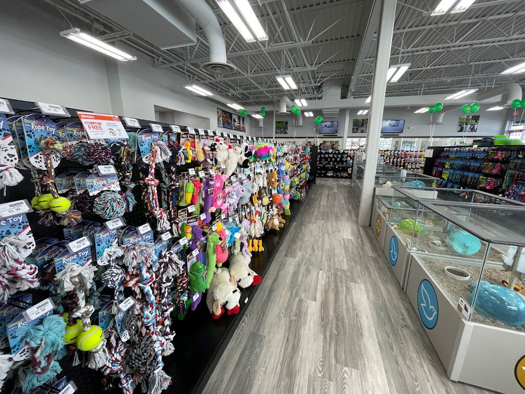 Petland Austin Landing | 10761 Innovation Drive, Miamisburg, OH 45342, USA | Phone: (937) 714-7776