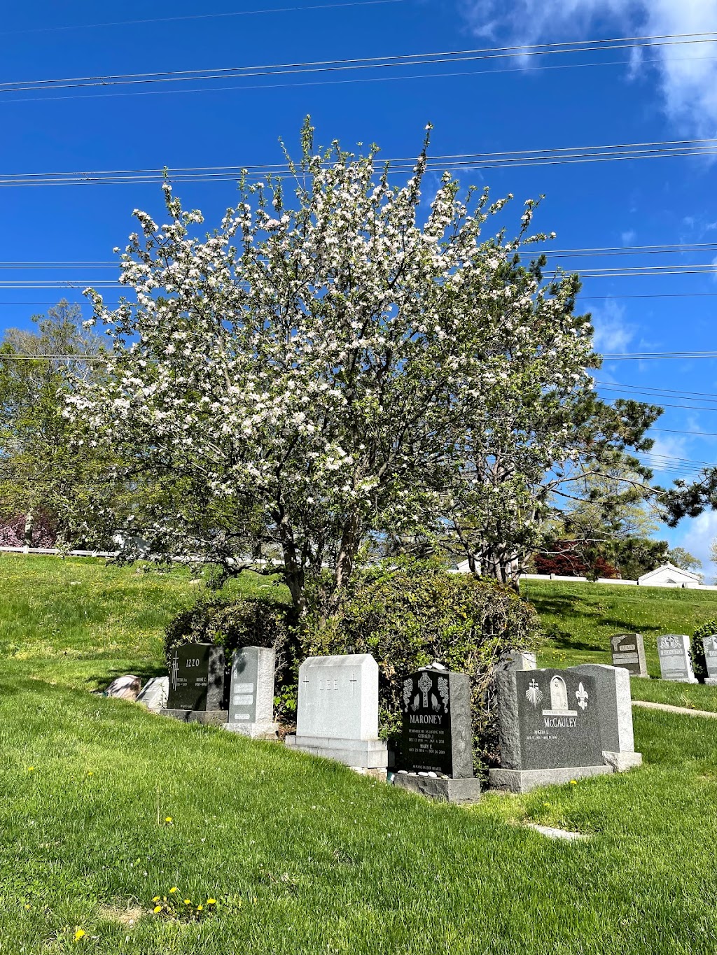 Gate of Heaven Cemetery | 5 Bradhurst Ave, Hawthorne, NY 10532, USA | Phone: (914) 769-3672