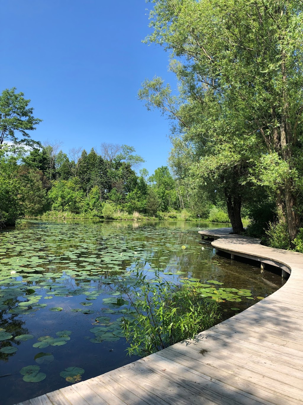 Schlitz Audubon Nature Center | 1111 E Brown Deer Rd, Bayside, WI 53217, USA | Phone: (414) 352-2880