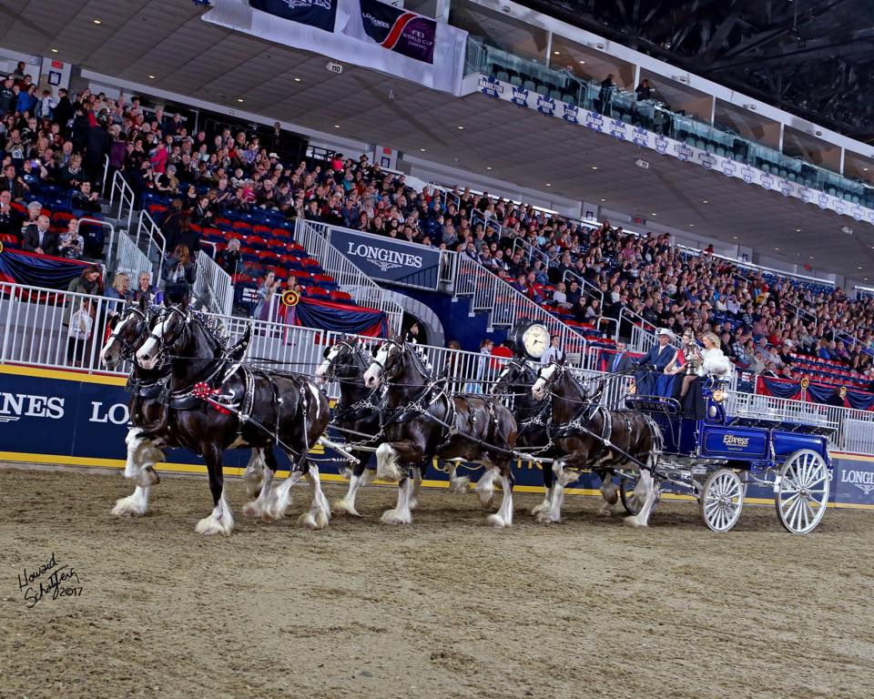 Express Clydesdales Barn | 12701 W Wilshire Blvd, Yukon, OK 73099, USA | Phone: (405) 350-6404