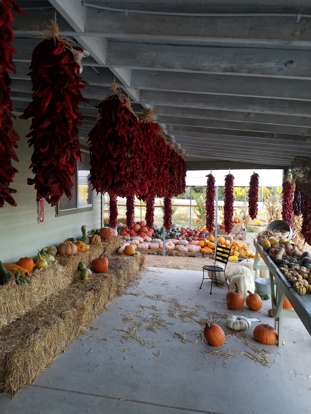 Stahlmans at Bear Creek-Grocery and Pecans | 5511 Farm To Market Rd 2722, New Braunfels, TX 78132, USA | Phone: (830) 515-3658