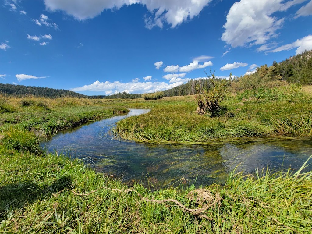 Troy Meadow Campground | Sherman Pass Rd, Inyokern, CA 93527, USA | Phone: (800) 832-1355