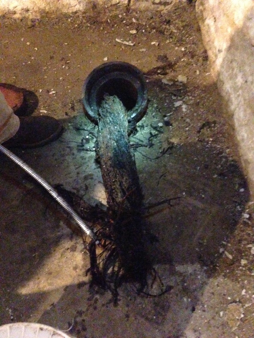 Wooster Drain Cleaning | 573 N Market St, Wooster, OH 44691, USA | Phone: (330) 262-1543