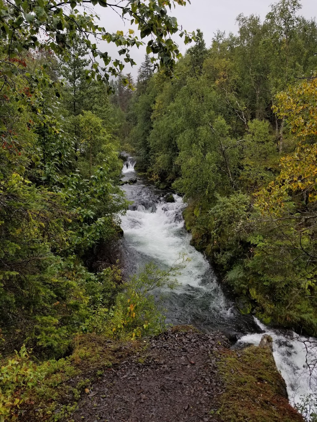 Russian River Campground | Cooper Landing, AK 99572, USA | Phone: (877) 444-6777