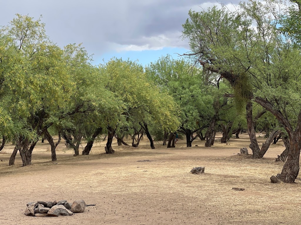 Coon Bluff Recreation Area | Coon Bluff Rd, Mesa, AZ 85215, USA | Phone: (480) 610-3300