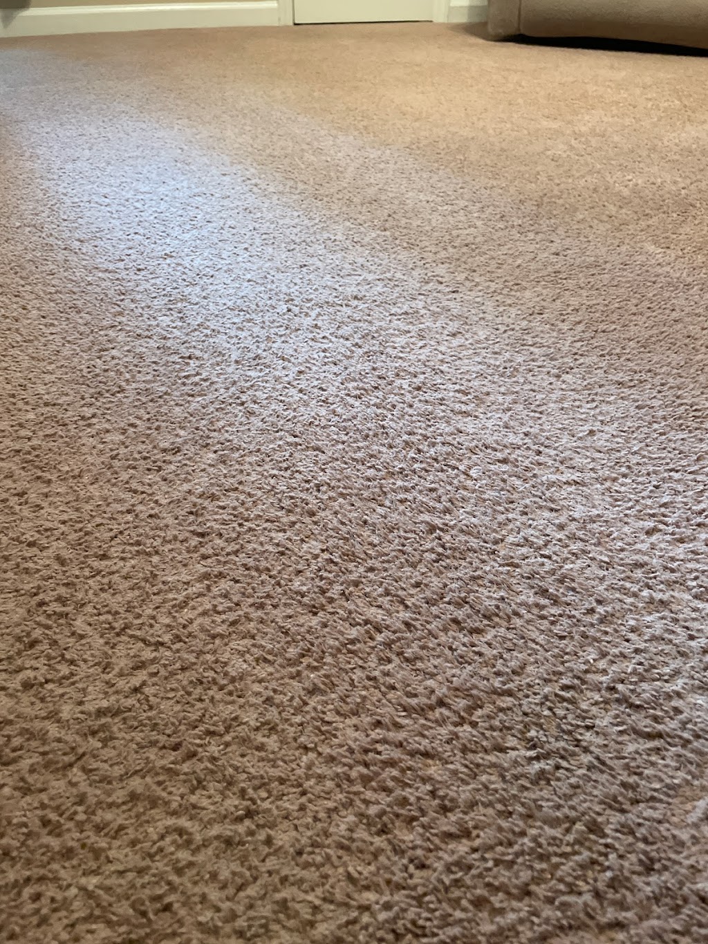 Blueagle Carpet Cleaning | 1416 Thornwell Ave, Rock Hill, SC 29732, USA | Phone: (803) 980-3007