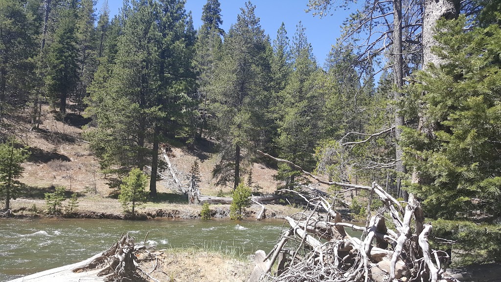 Lower Little Truckee Campground | CA-89, Sierraville, CA 96126, USA | Phone: (530) 994-3401