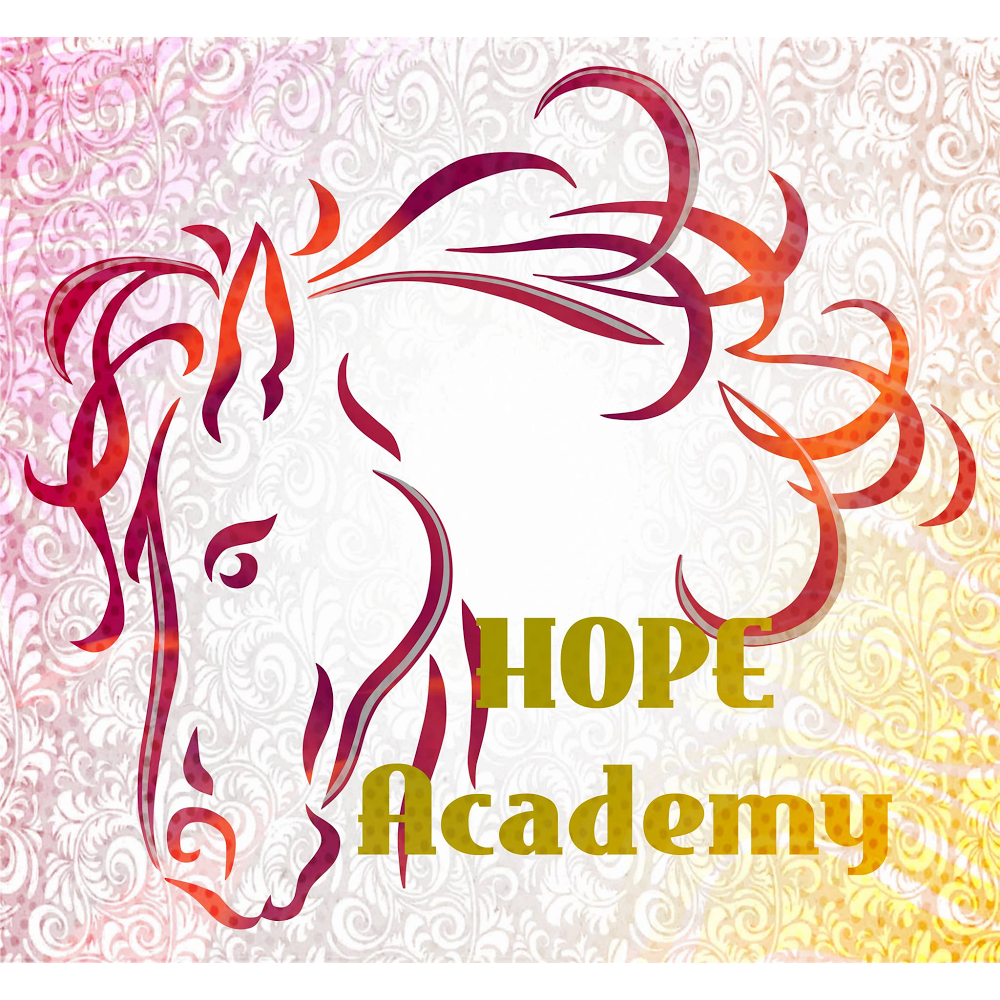 Hope Academy | 7050 W 64th Ave, Arvada, CO 80003, USA | Phone: (303) 431-0796