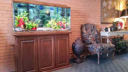 Southeastern Fish Tanks | 469 Isle of Pines Rd, Mooresville, NC 28117 | Phone: (704) 253-5322