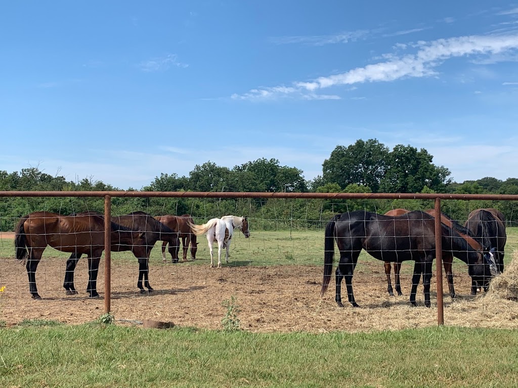 Celtic Cross Equestrian Center | 14100 E Cedar Lane Rd, Norman, OK 73026, USA | Phone: (405) 641-6607