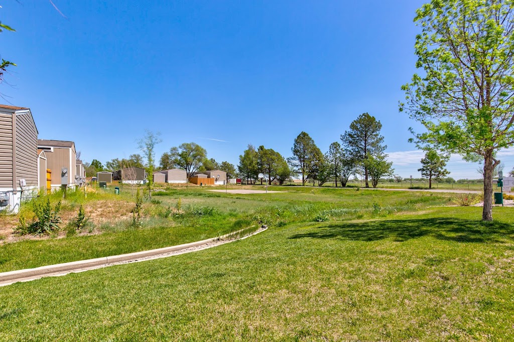 Bella Vista | 333 37th St, Evans, CO 80620, USA | Phone: (970) 342-0511