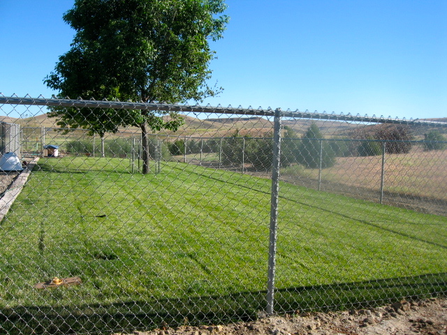 Fetch This Kennels | 10465 Stone Quarry Rd, Payette, ID 83661, USA | Phone: (208) 642-4245