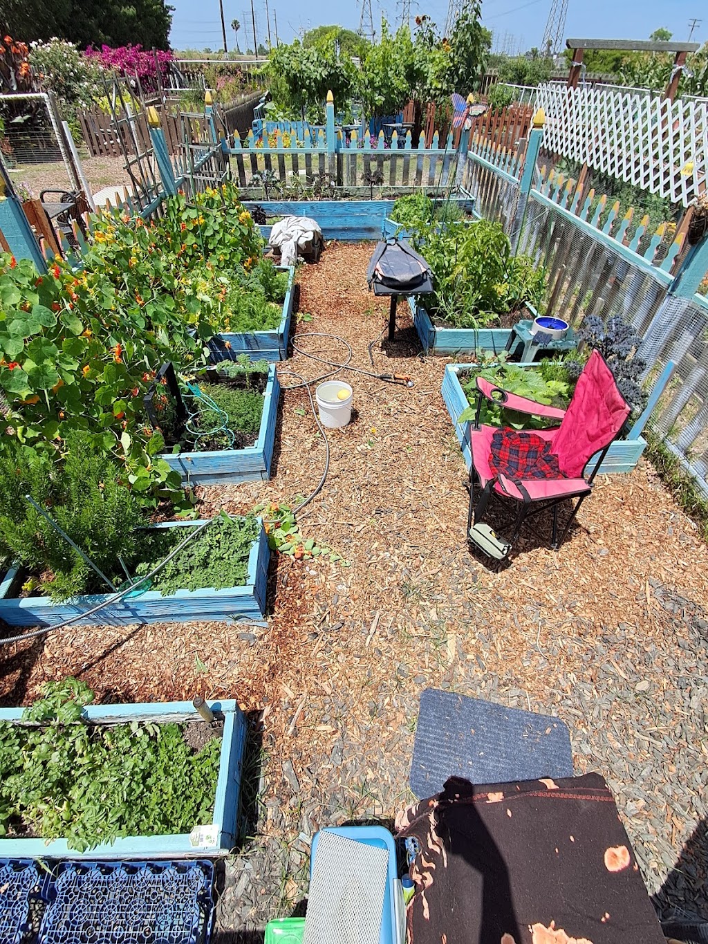 Seal Beach Community Garden | Seal Beach, CA 90740, USA | Phone: (562) 431-2527