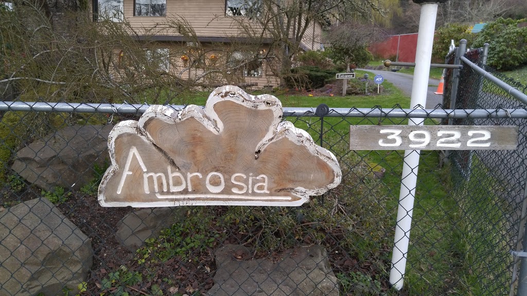 Ambrosia | 3922 202nd Pl SE #1, Sammamish, WA 98075, USA | Phone: (206) 313-5517