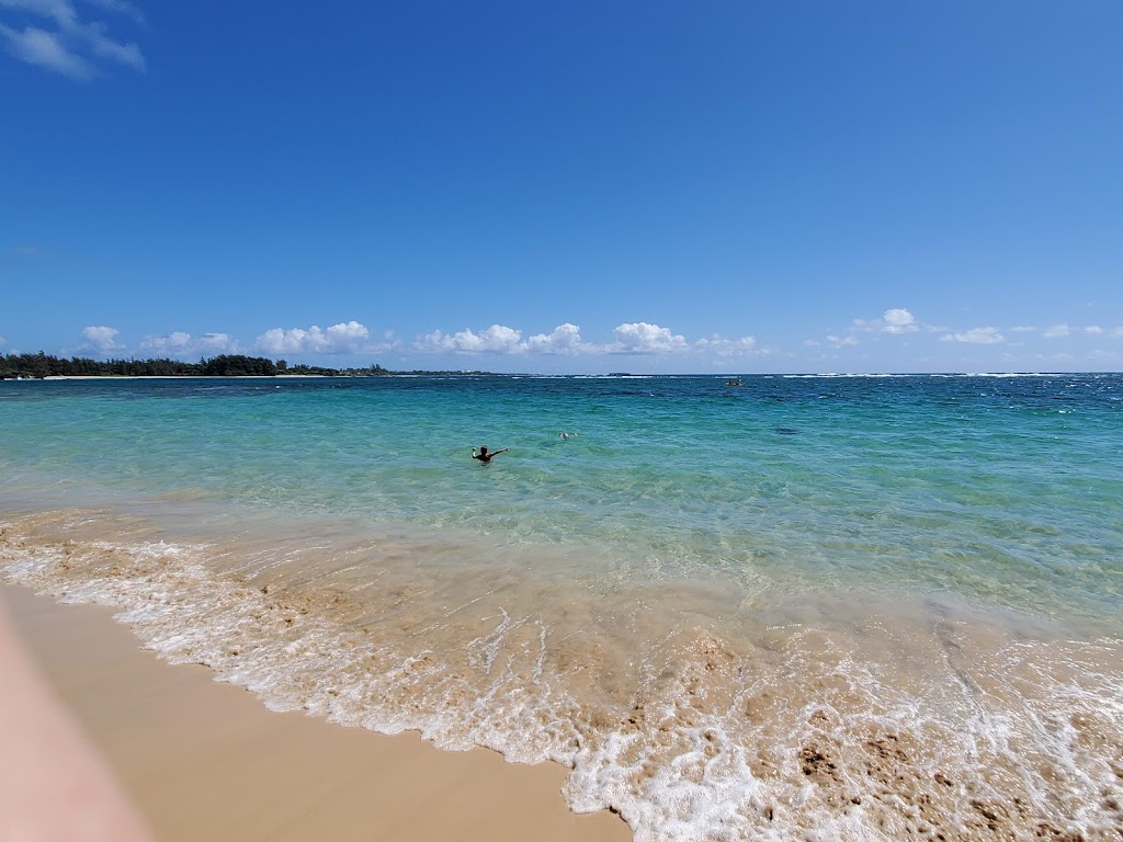 Lāʻie Point State Wayside | End of Naupaka Street, HI-83, Laie, HI 96762, USA | Phone: (808) 587-0300