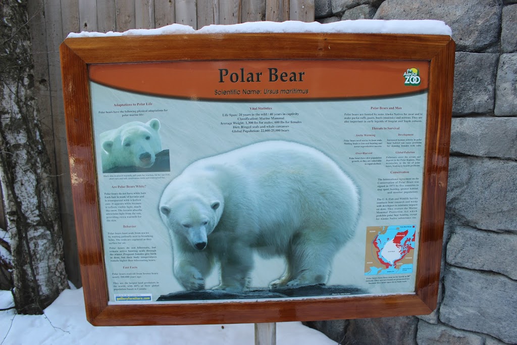 Polar Bear Exhibit | 4731 OMalley Rd, Anchorage, AK 99507, USA | Phone: (907) 346-2133
