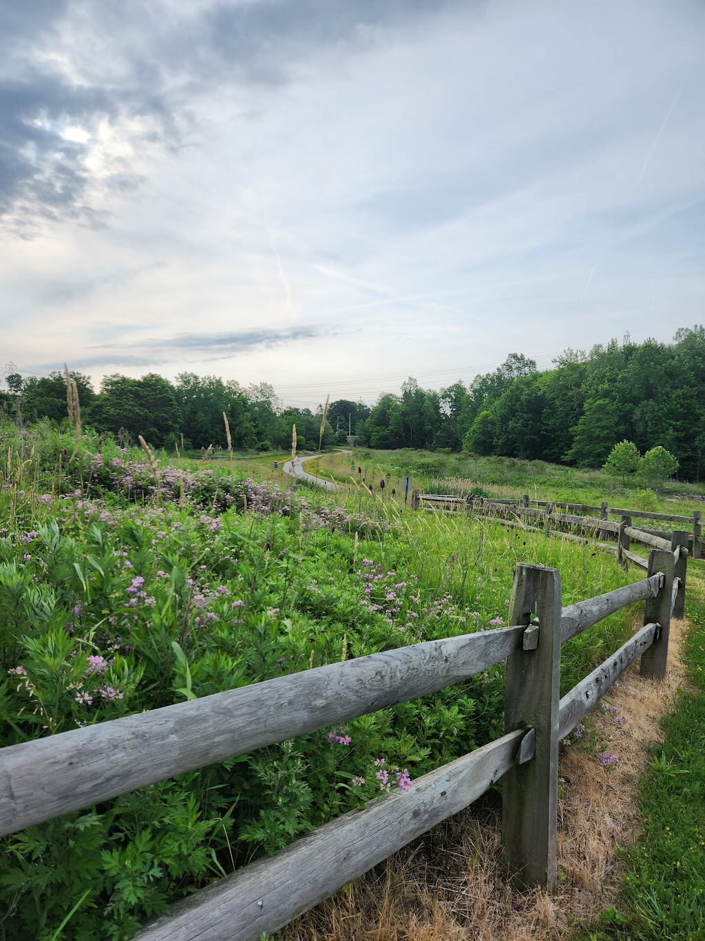 Engle Road Sledding Hill | 7270, 7468 OH-291, Middleburg Heights, OH 44130, USA | Phone: (216) 635-3200