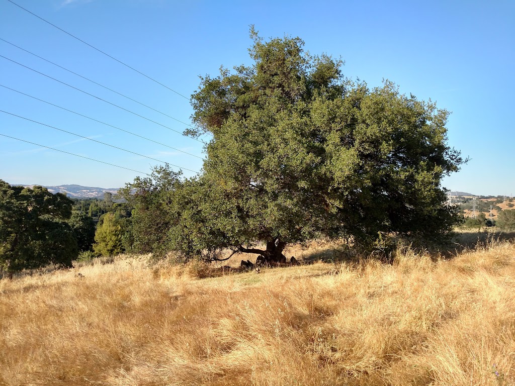 Governors West Park | 2780 El Dorado Hills Blvd, El Dorado Hills, CA 95762, USA | Phone: (916) 933-6624