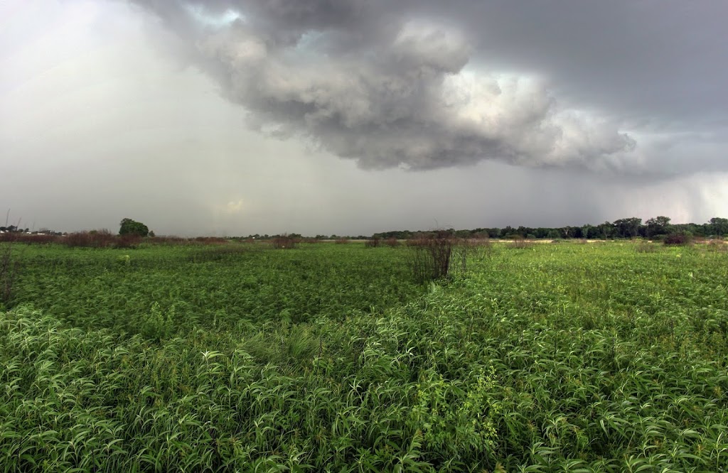 Snapper Prairie State Natural Area | W7480 Prairie Ln, Lake Mills, WI 53551, USA | Phone: (608) 255-2473