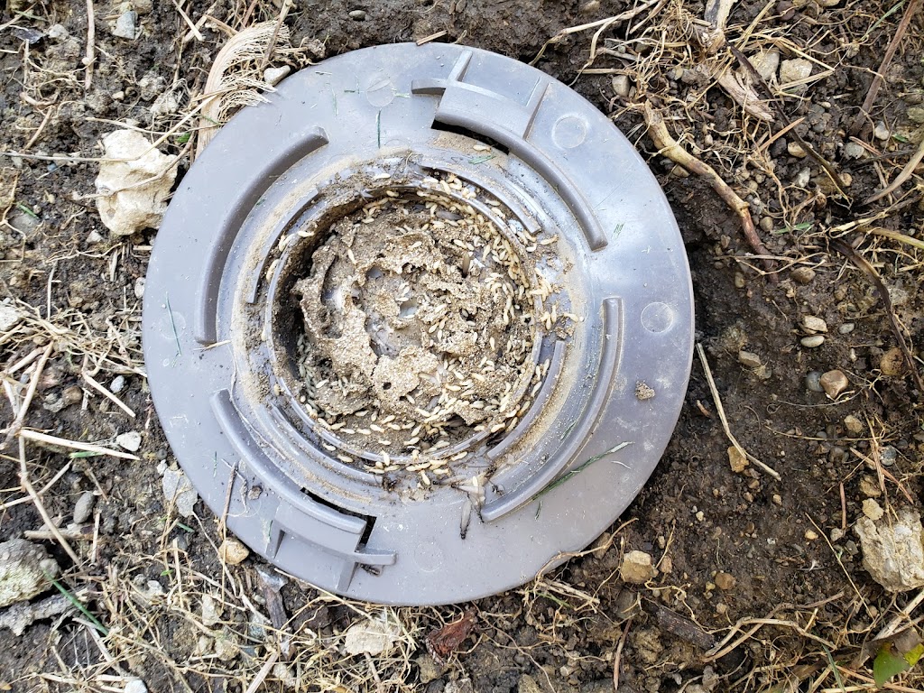 Midwest Termite & Pest Control | 5133 Pensacola Blvd, Dayton, OH 45439, USA | Phone: (937) 469-6128