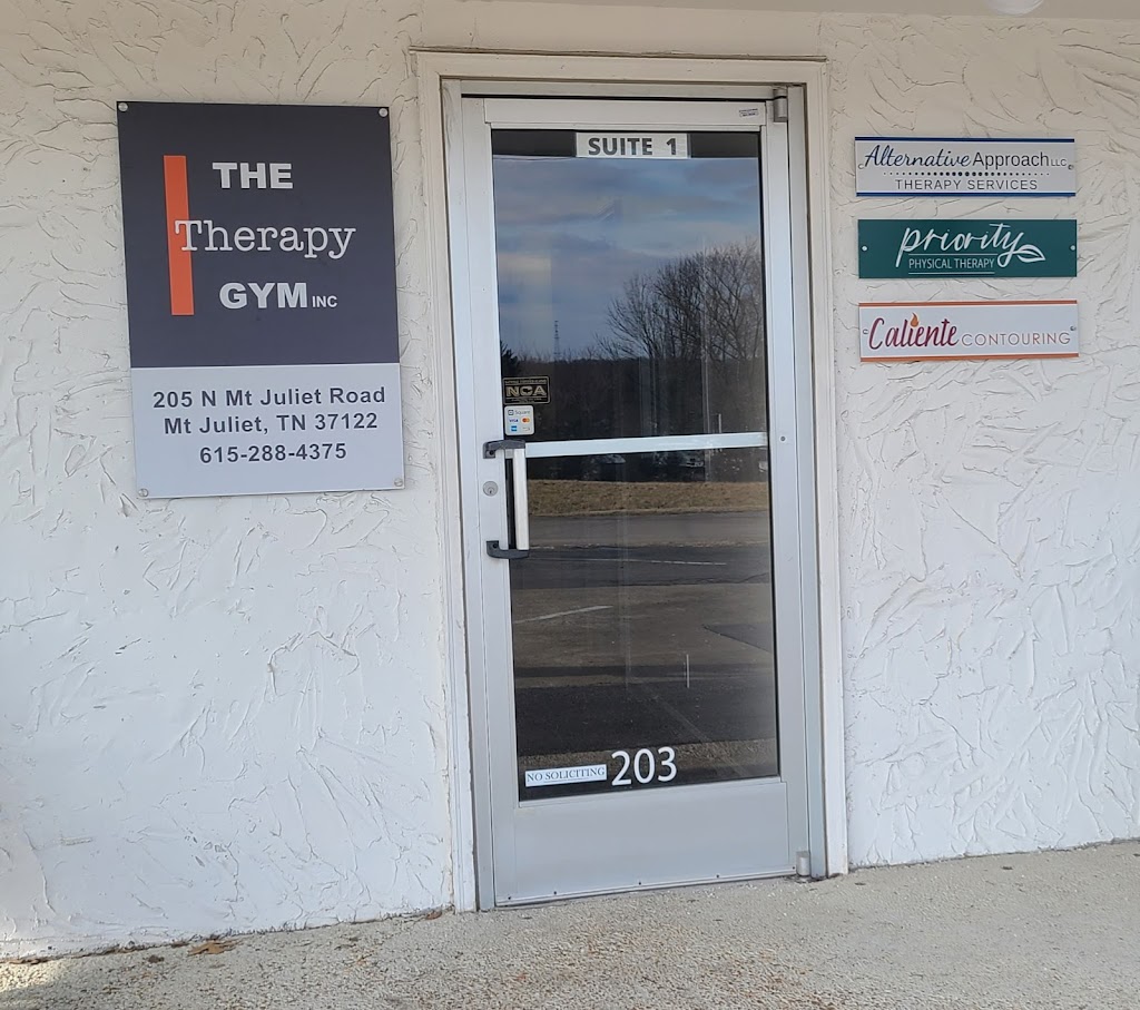 THE Therapy GYM inc | 205 N Mt Juliet Rd, Mt. Juliet, TN 37122, USA | Phone: (615) 288-4375