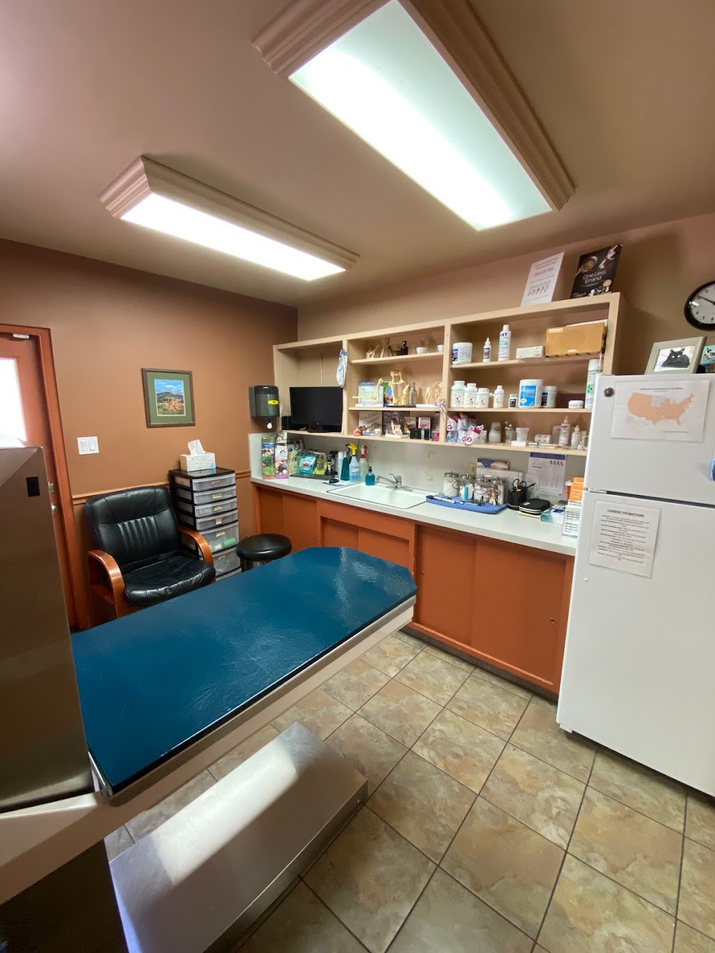 Carrollwood Community Animal Hospital | 4227 Gunn Hwy, Tampa, FL 33618, USA | Phone: (813) 962-1010