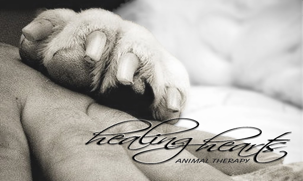 Healing Hearts Animal Therapy International | 102 Lycippus Hardware Rd, Latrobe, PA 15650, USA | Phone: (724) 691-0196