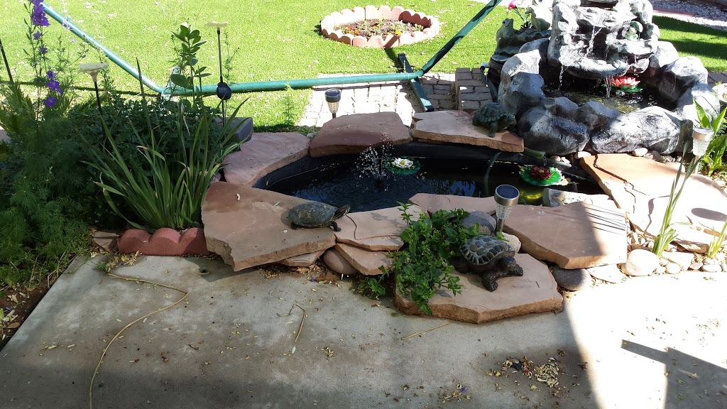 Cactus Point Park | 14169 Patriot Point Dr, El Paso, TX 79938, USA | Phone: (915) 212-0092