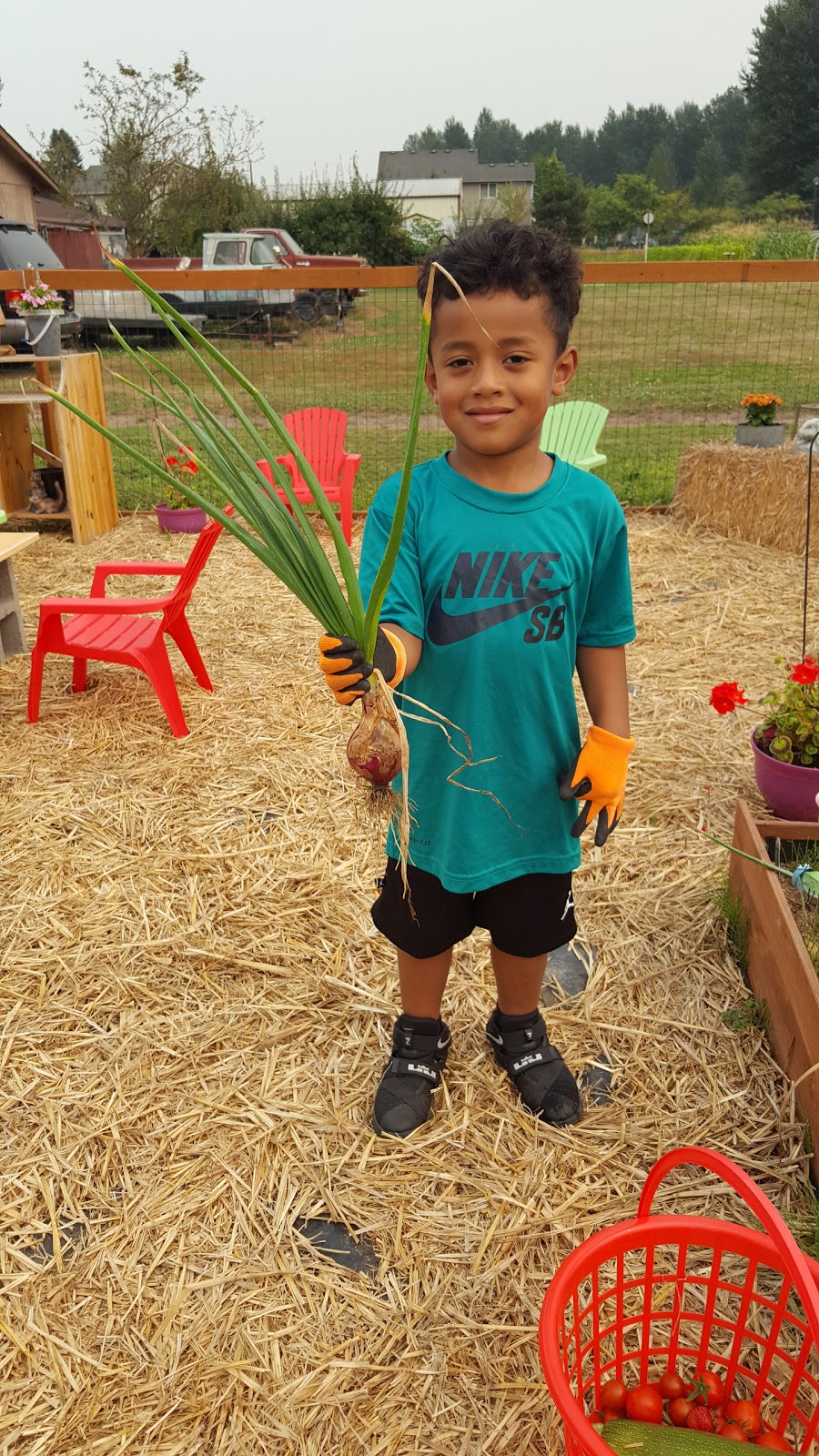 Lil Farm Preschool & Summer Day Camp | 235 5th Ave SW, Pacific, WA 98047, USA | Phone: (253) 579-8140