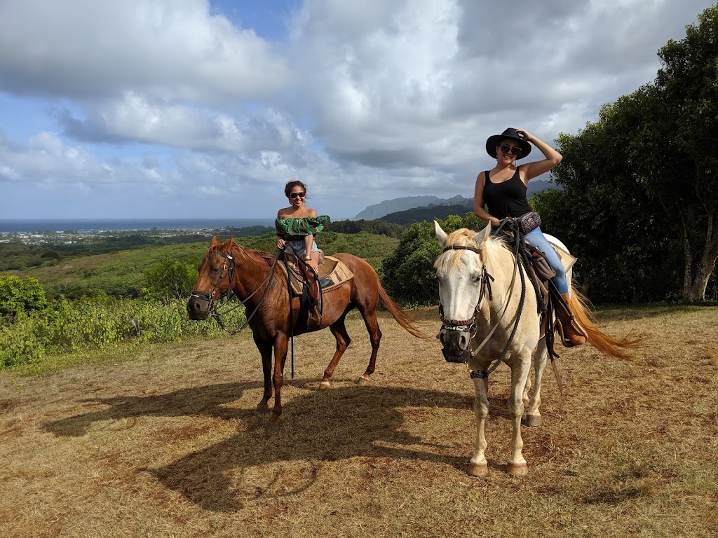 Gunstock Ranch | 56-250 Kamehameha Hwy, Kahuku, HI 96731, USA | Phone: (808) 341-3995