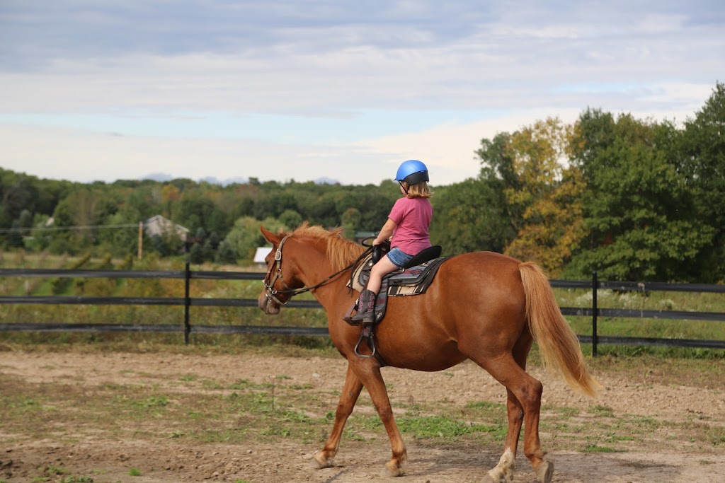 Dizzy Jay Farm | 1026 130th St, Amery, WI 54001, USA | Phone: (715) 781-5032