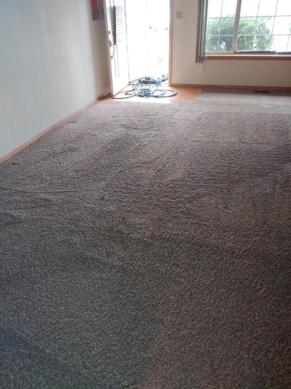 Crystal Carpet Care | 13701 24th St E c10, Sumner, WA 98390, USA | Phone: (253) 952-3396