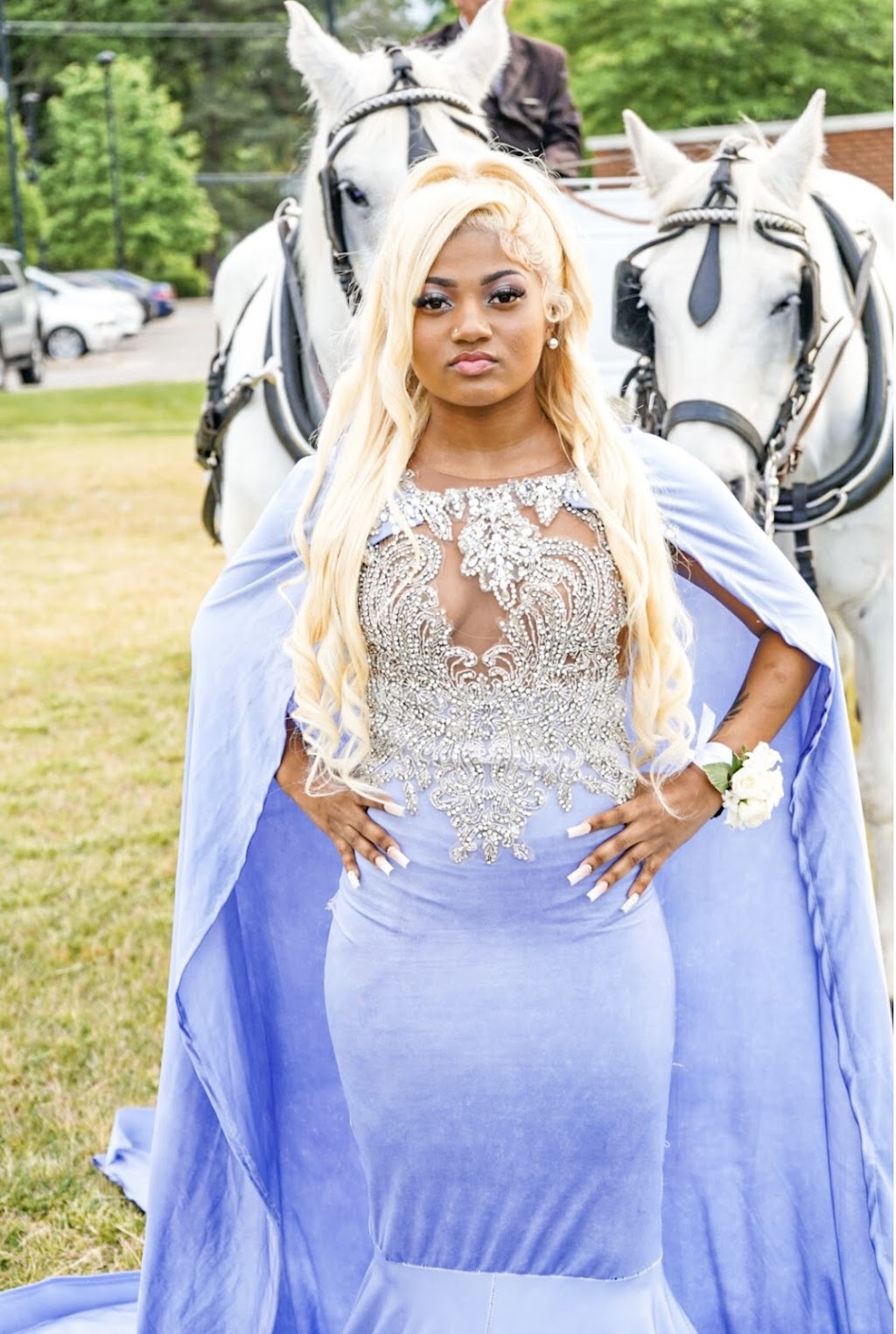 Hundley Carriages | 8300 Hopkins Rd, Richmond, VA 23237, USA | Phone: (804) 743-9233