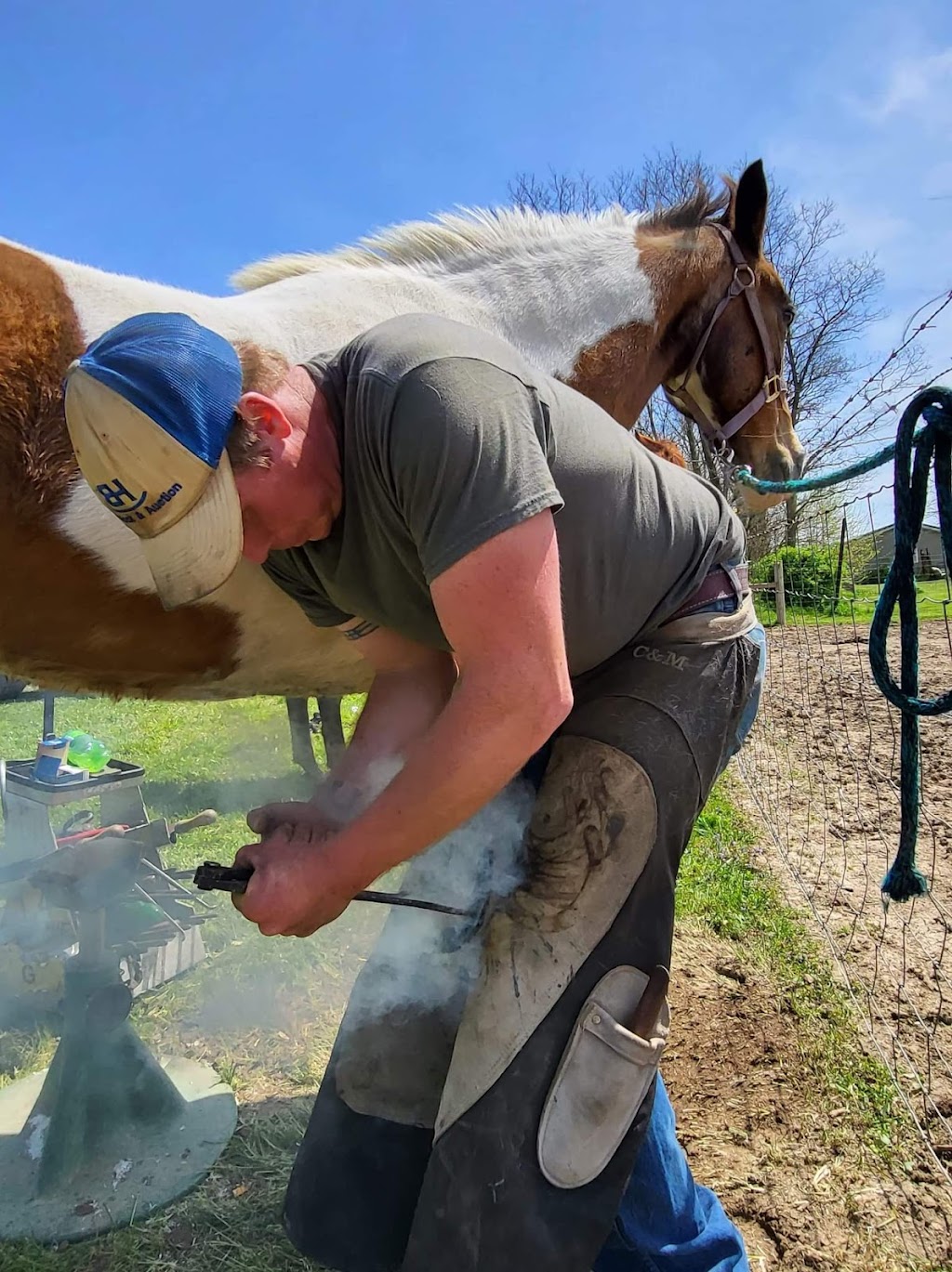 D.L. Farrier Services | 2644 S Bird Sanctuary Rd, Connersville, IN 47331, USA | Phone: (765) 580-9926