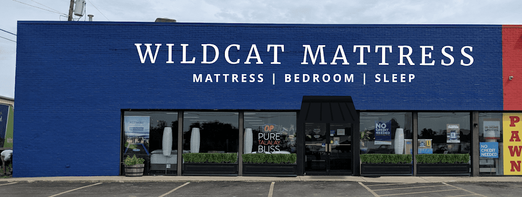 Wildcat Mattress & Massage Chairs | 2040 Lexington Rd, Nicholasville, KY 40356, USA | Phone: (859) 887-2552