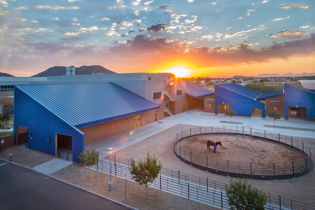 Midwestern University Equine and Bovine Center | 5725 W Utopia Rd, Glendale, AZ 85308, USA | Phone: (623) 806-7575