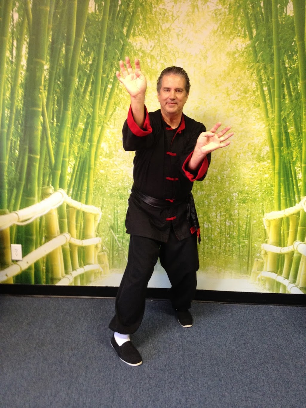 Cornetts Secret Art of Praying Mantis Kung Fu LLC | 4981 Lebanon Pike, Old Hickory, TN 37138, USA | Phone: (615) 686-3035