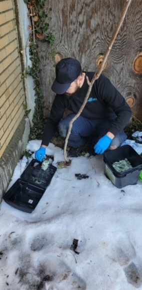 gam exterminating | 324 Clocks Blvd, Massapequa, NY 11758, USA | Phone: (877) 732-2057