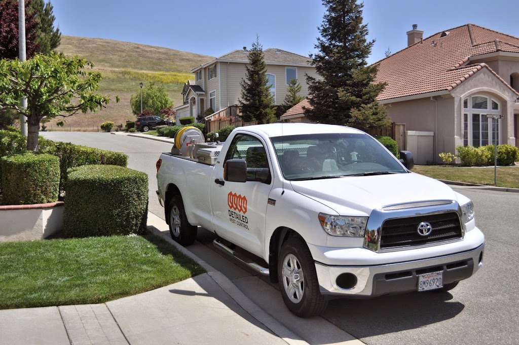 Detailed Pest Control, LLC | 1140 Saranap Ave, Walnut Creek, CA 94595, USA | Phone: (925) 935-4050