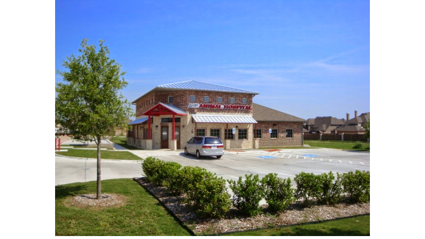 Country Creek Animal Hospital | 1258 W Exchange Pkwy, Allen, TX 75013, USA | Phone: (972) 649-6777