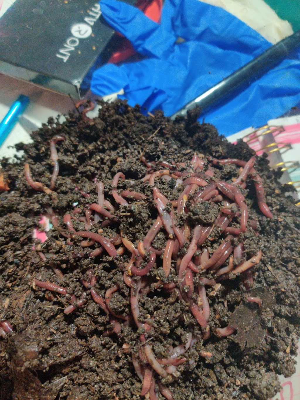 Turners Composting and Bait Worms | 1325 E Stark Rd trlr 28, Dallas, TX 75253, USA | Phone: (214) 973-3951