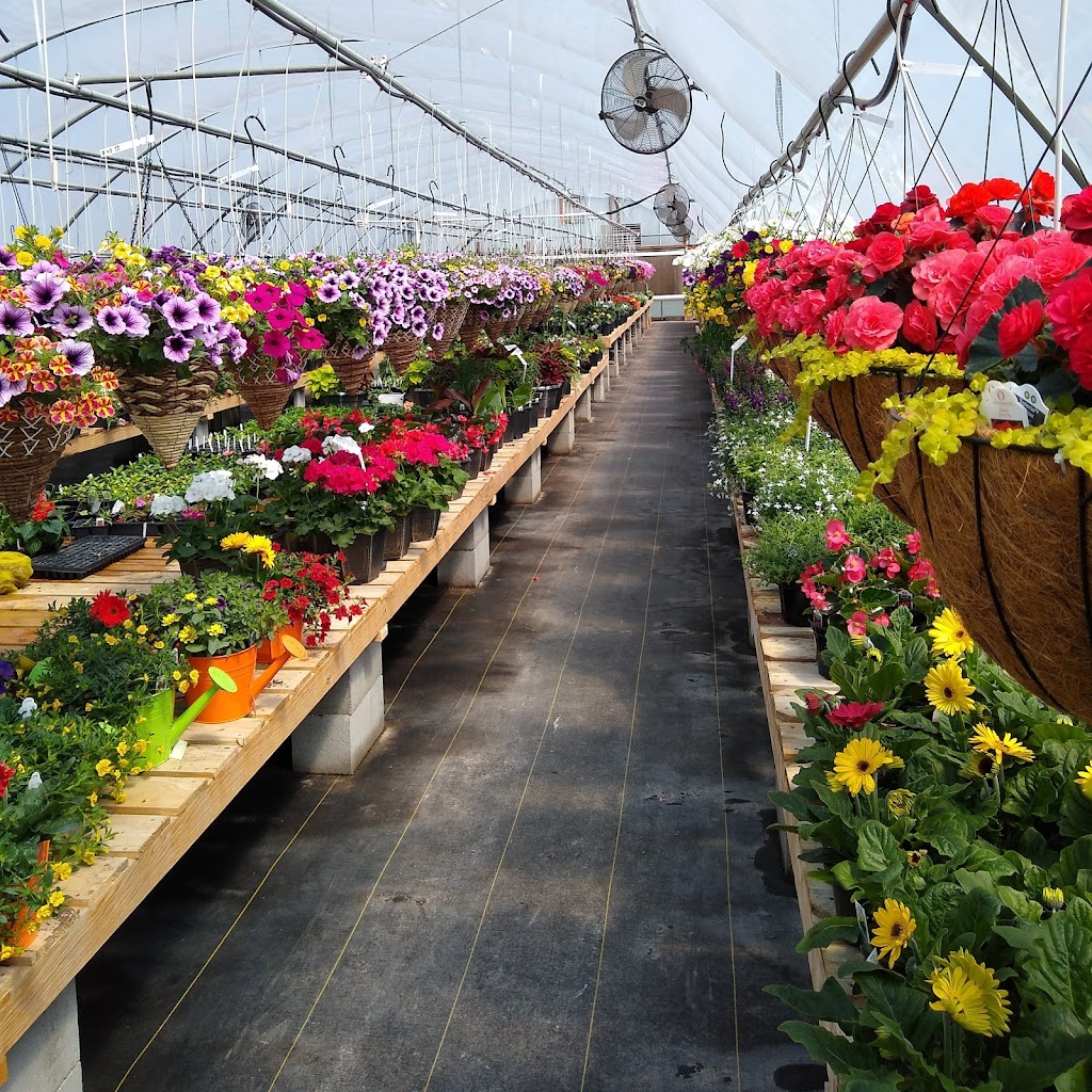 Sunny Acres Greenhouse LLC | 4325 OK-20, Pryor, OK 74361, USA | Phone: (806) 281-7845