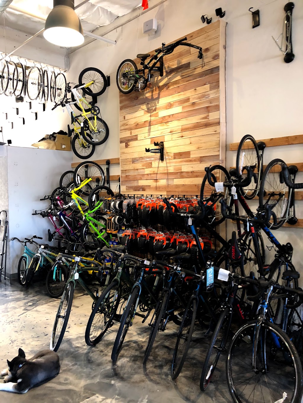 Poway Bicycle | 14857 Pomerado Rd, Poway, CA 92064, USA | Phone: (858) 218-6438