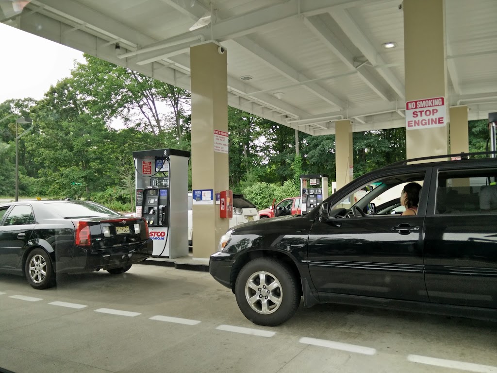 Costco Gas Station | 315 NJ-15, Wharton, NJ 07885, USA | Phone: (973) 659-2000