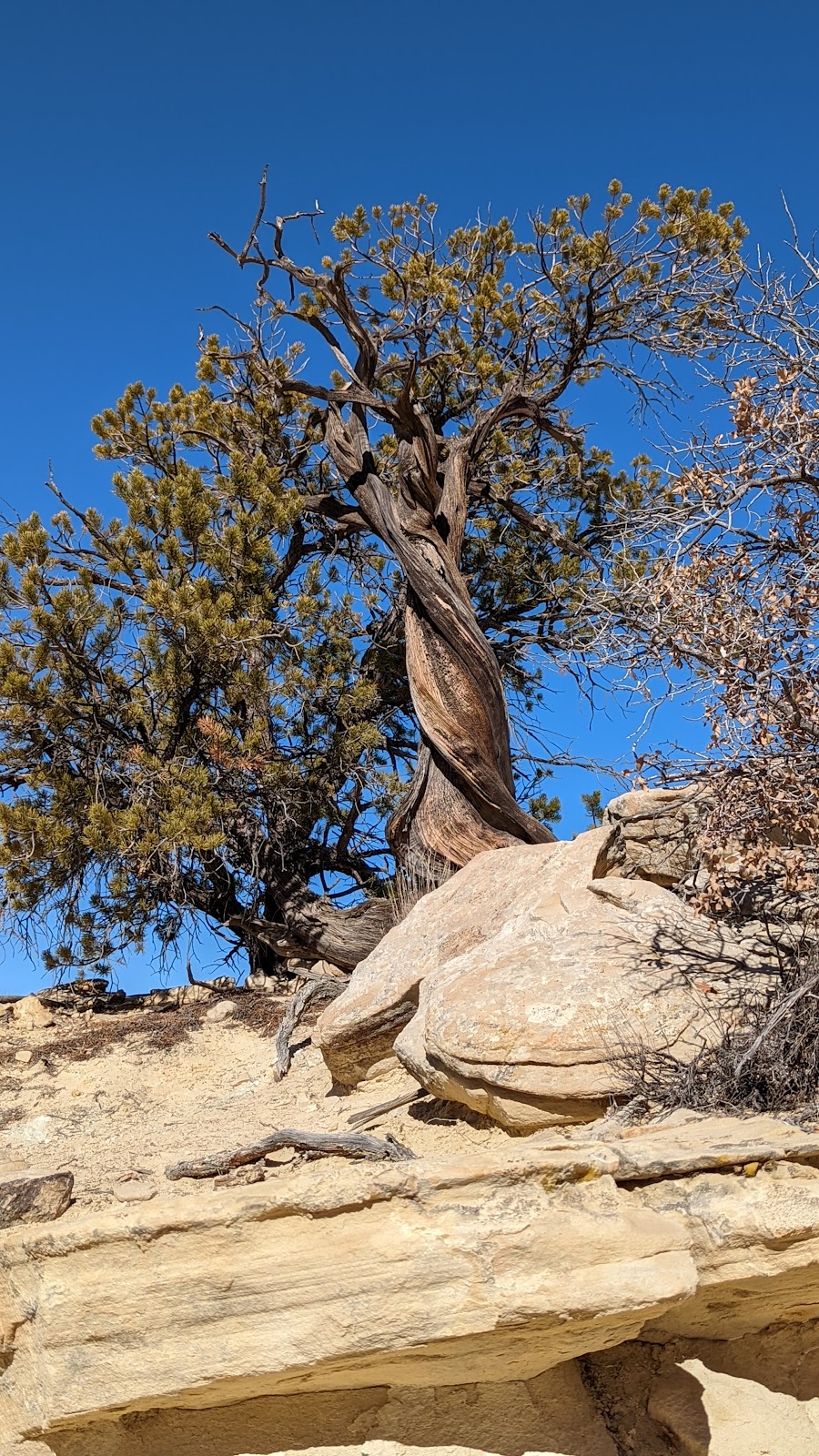 Ojito Wilderness - Arroyo Bernalillo | New Mexico, USA | Phone: (505) 761-8700