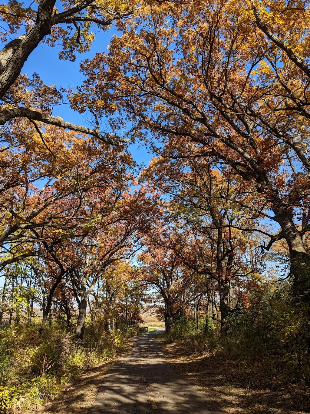 Nevin Springs Fish and Wildlife Area | Syene Rd, Fitchburg, WI 53713, USA | Phone: (608) 224-3730