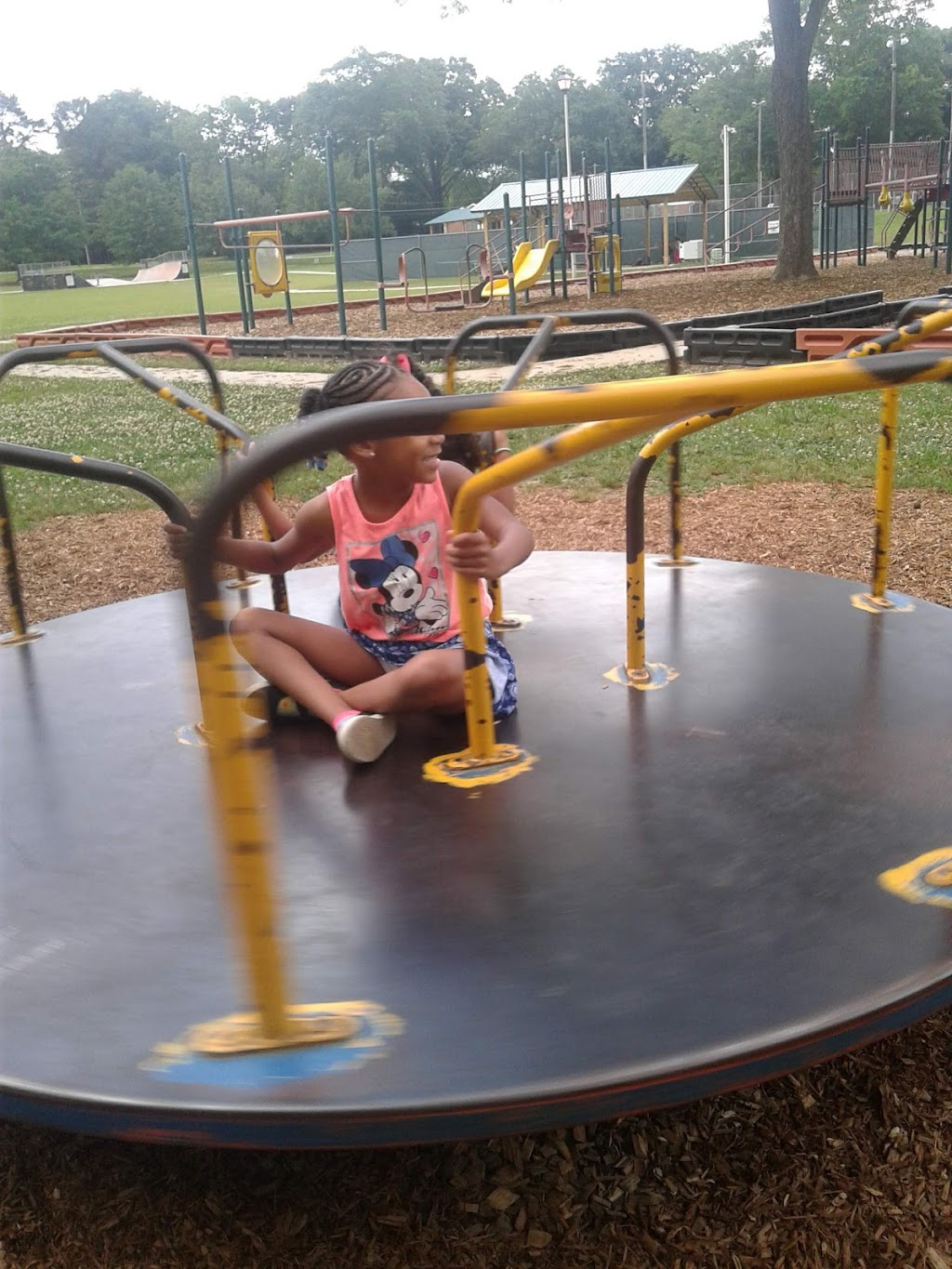 McBrayer Park | Central Ave, Hampton, GA 30228, USA | Phone: (770) 946-4306