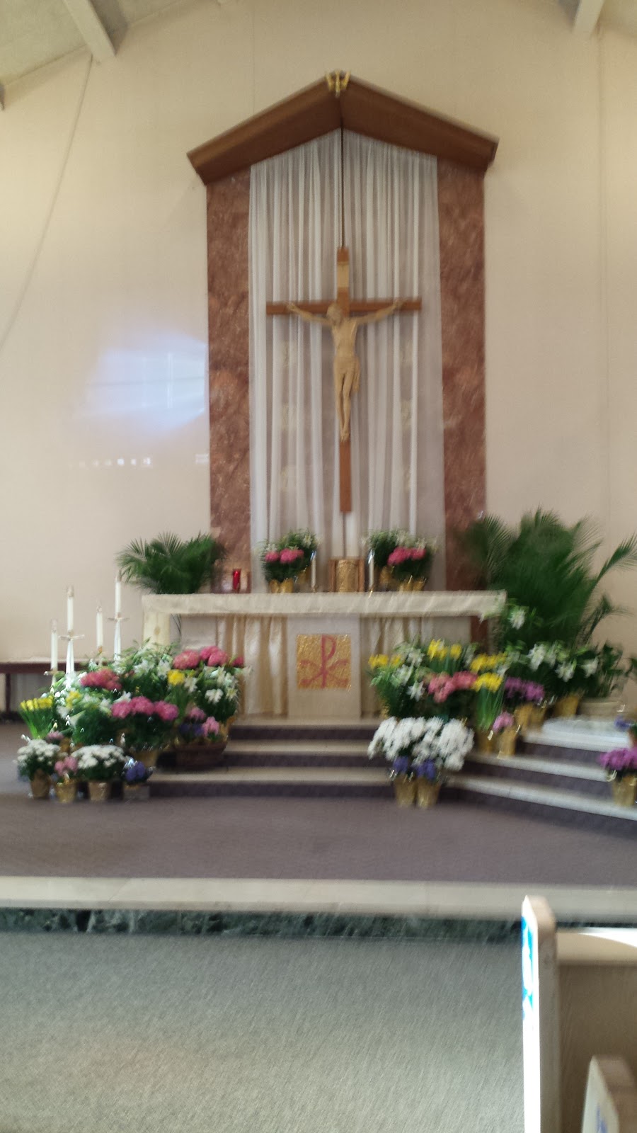 St Francis Xavier Catholic Church | 606 E Washington St, Medina, OH 44256, USA | Phone: (330) 725-4968