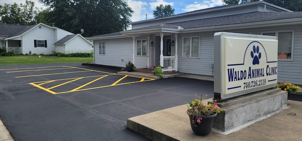 Waldo Animal Clinic | 153 S Marion St, Waldo, OH 43356, USA | Phone: (740) 726-2119