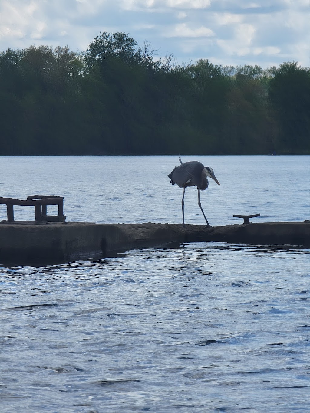 Chippewa Lake Boat Launch | 7916 Westfield Landing, Medina, OH 44256, USA | Phone: (330) 722-9364